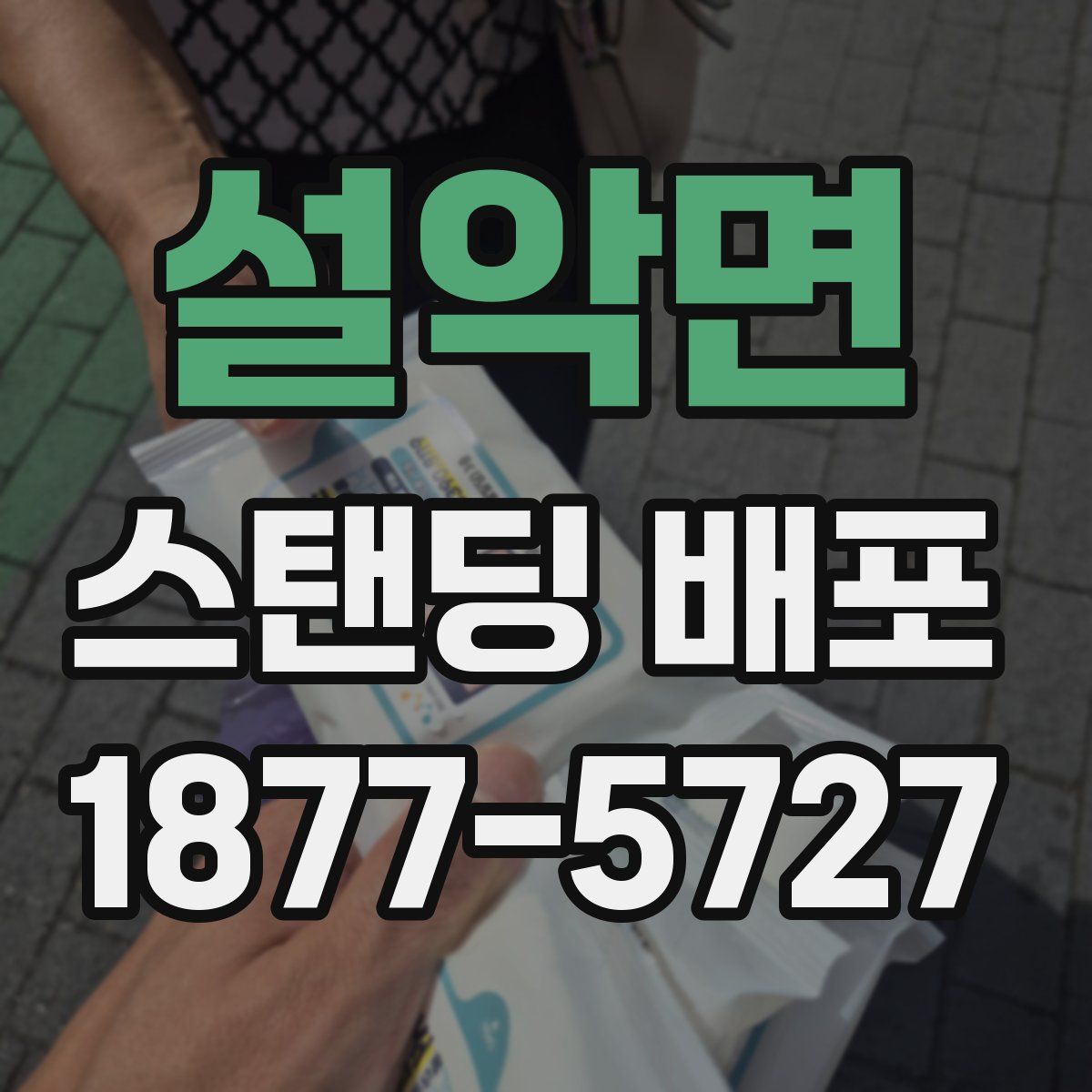 설악면 스탠딩 배포