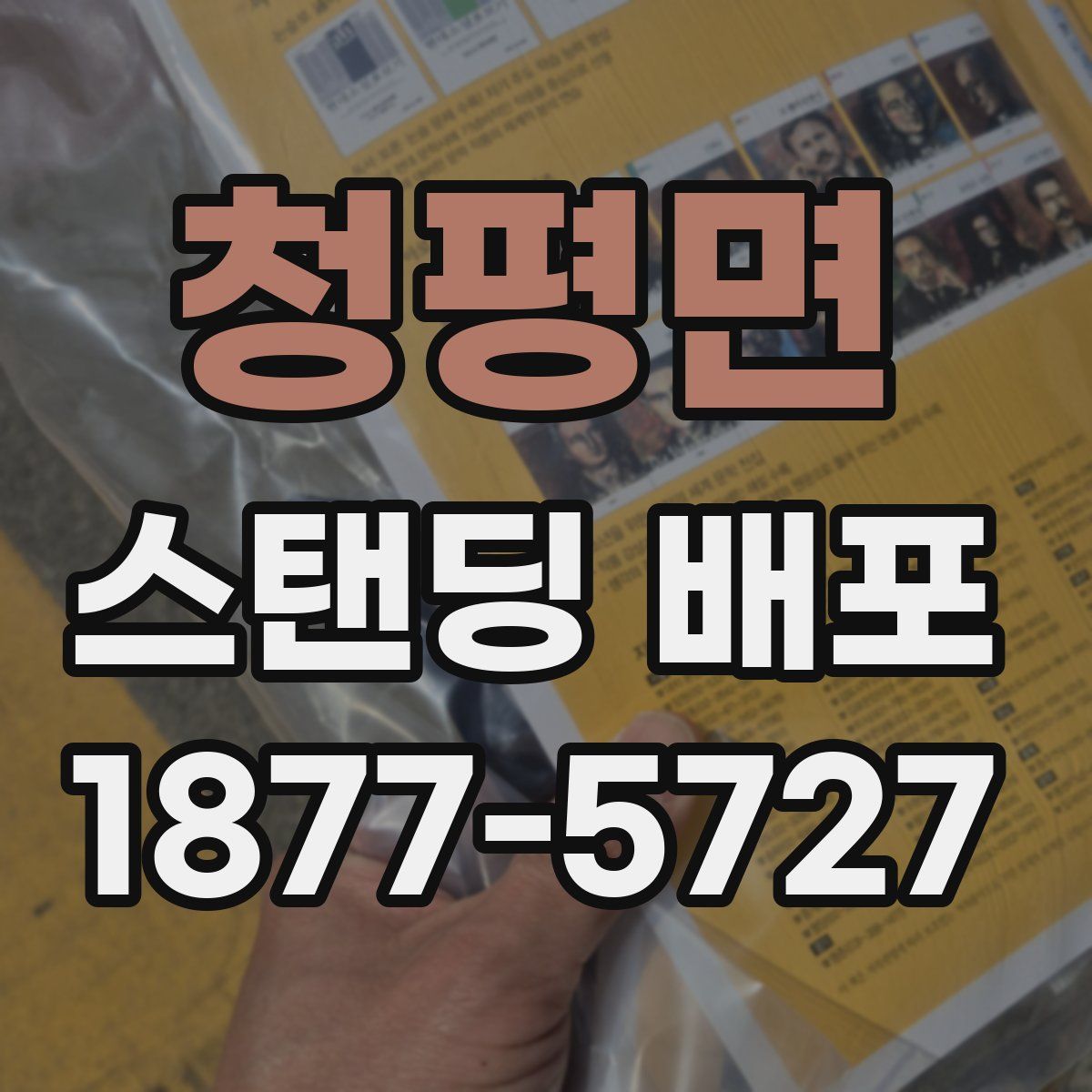 청평면 스탠딩 배포