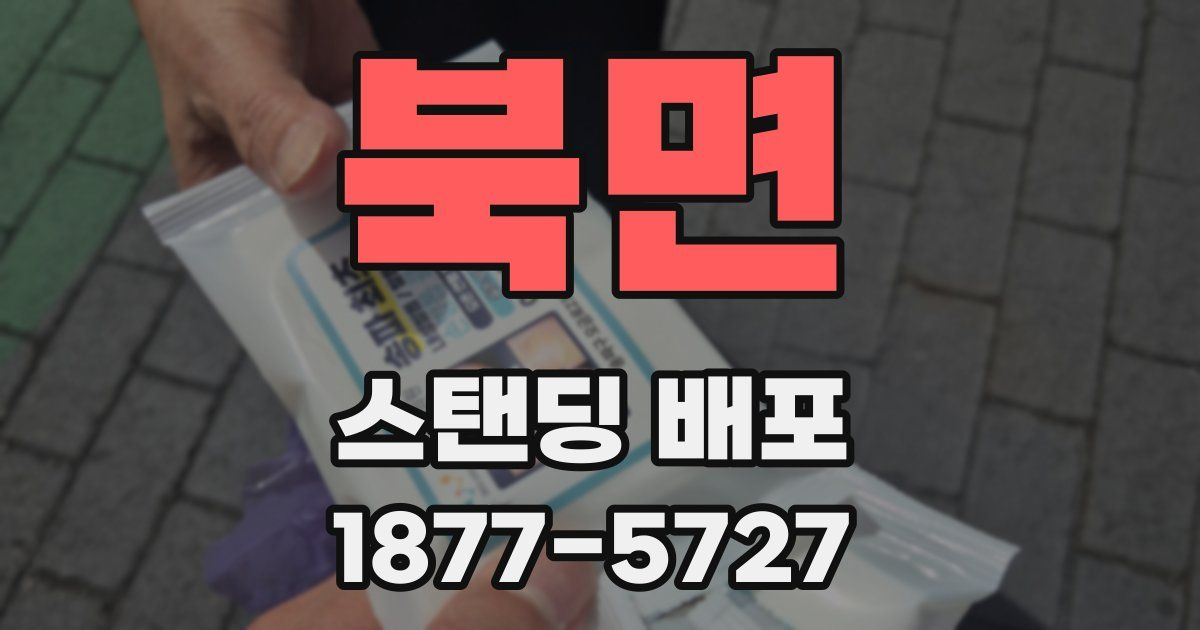 북면 스탠딩 배포