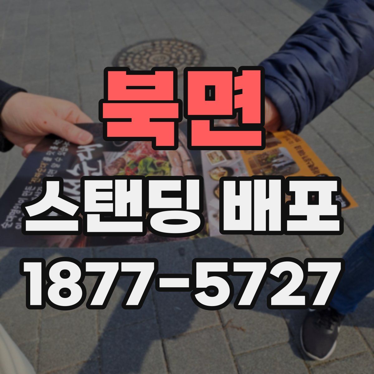 북면 스탠딩 배포