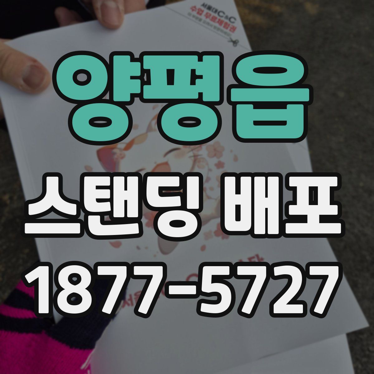 양평읍 스탠딩 배포