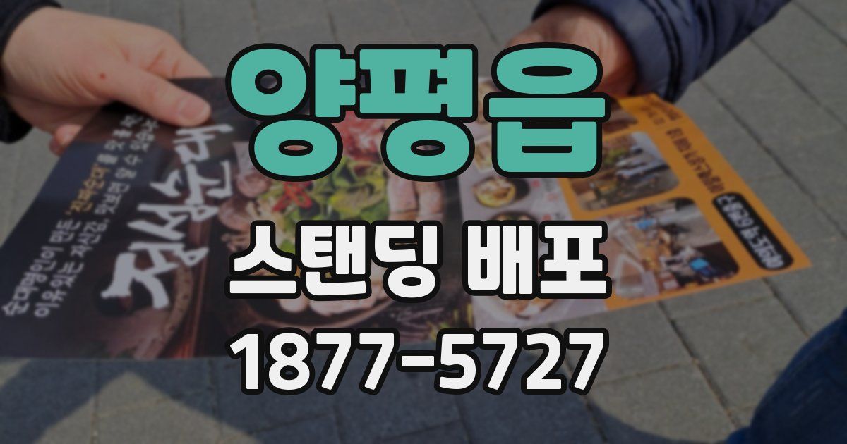 양평읍 스탠딩 배포
