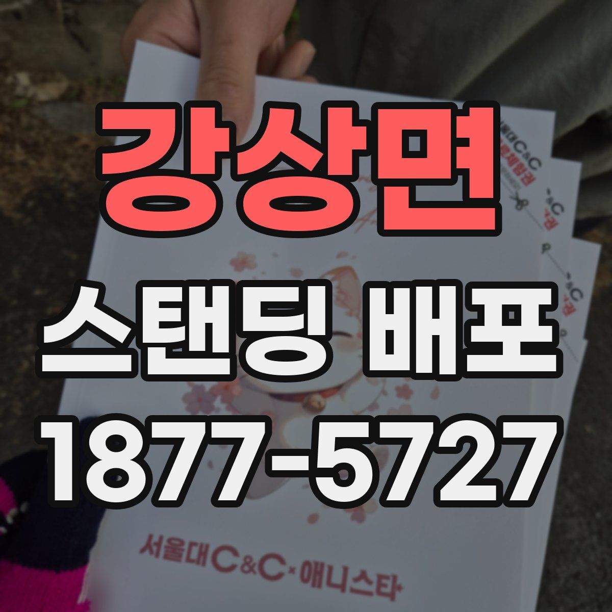 강상면 스탠딩 배포