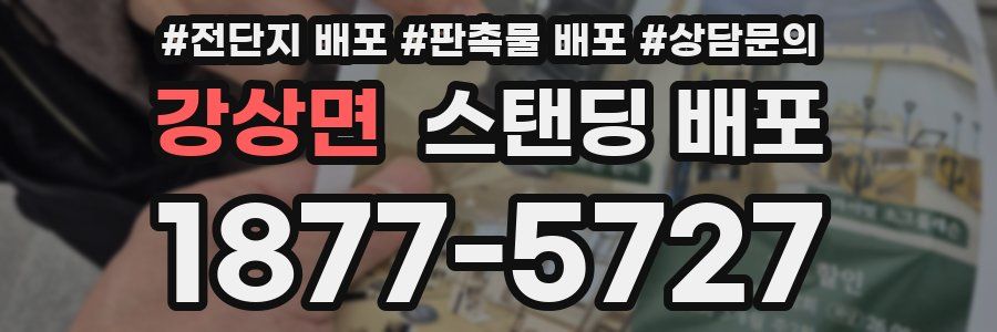 강상면 스탠딩 배포