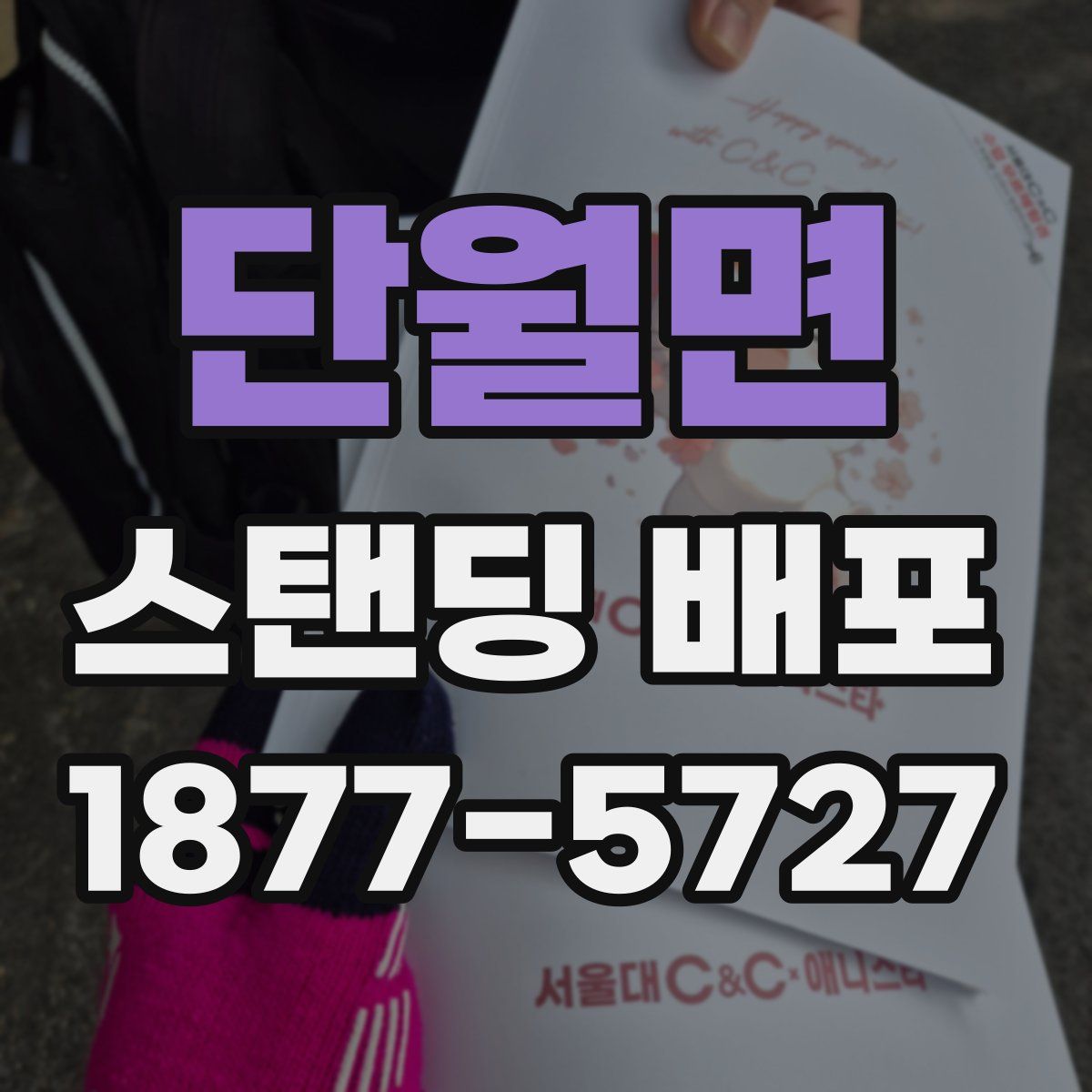 단월면 스탠딩 배포