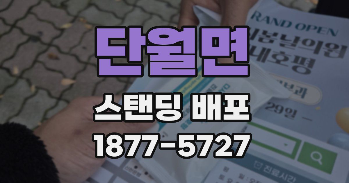 단월면 스탠딩 배포