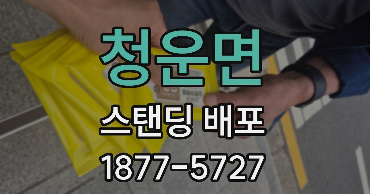 청운면 스탠딩 배포