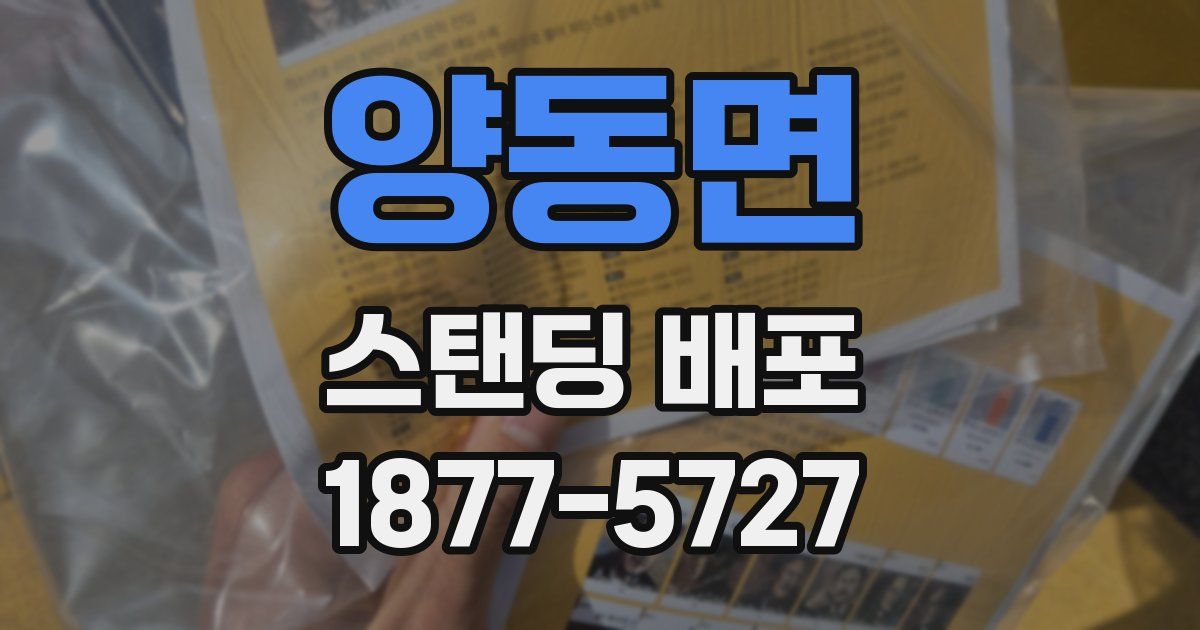 양동면 스탠딩 배포
