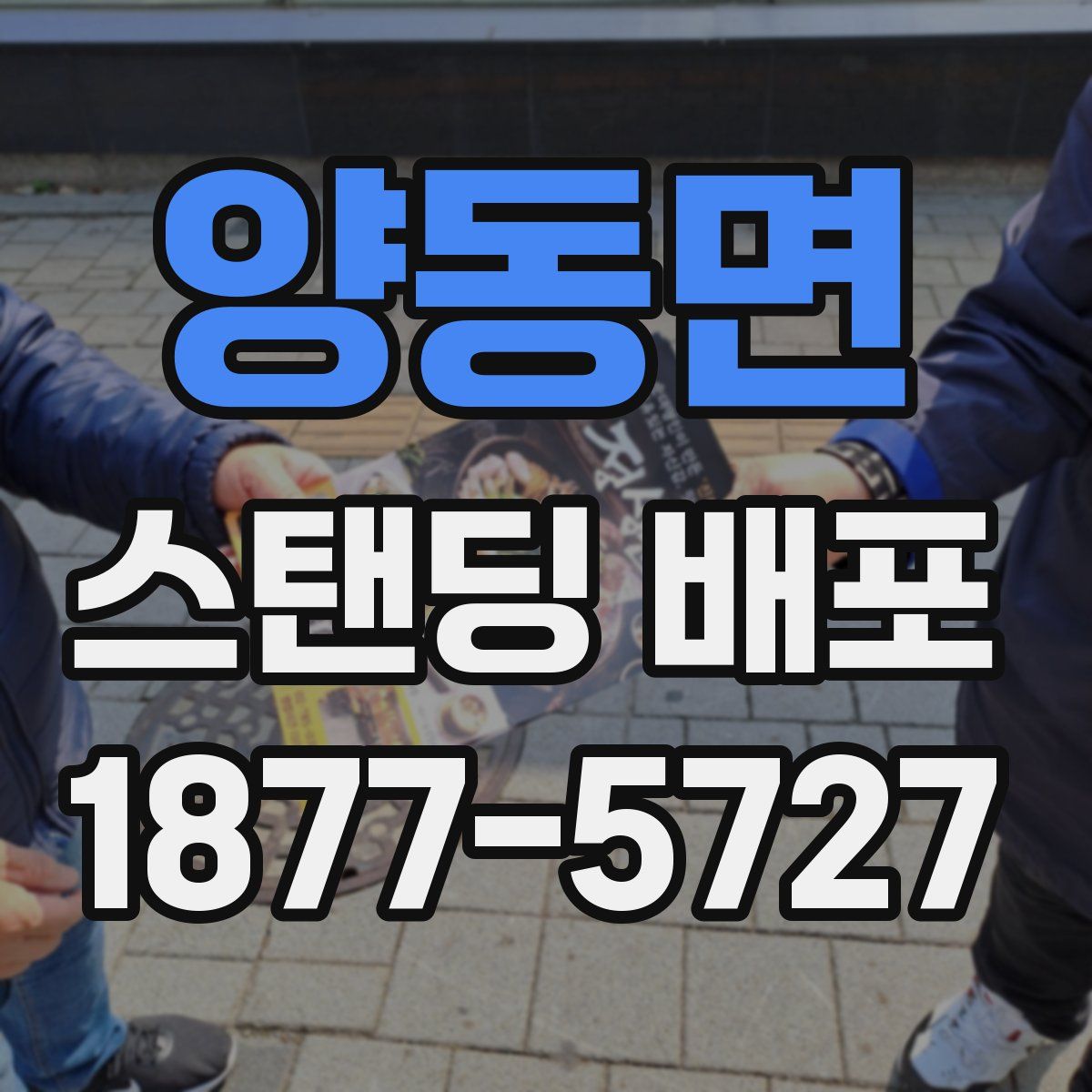 양동면 스탠딩 배포