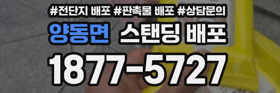 양동면 스탠딩 배포