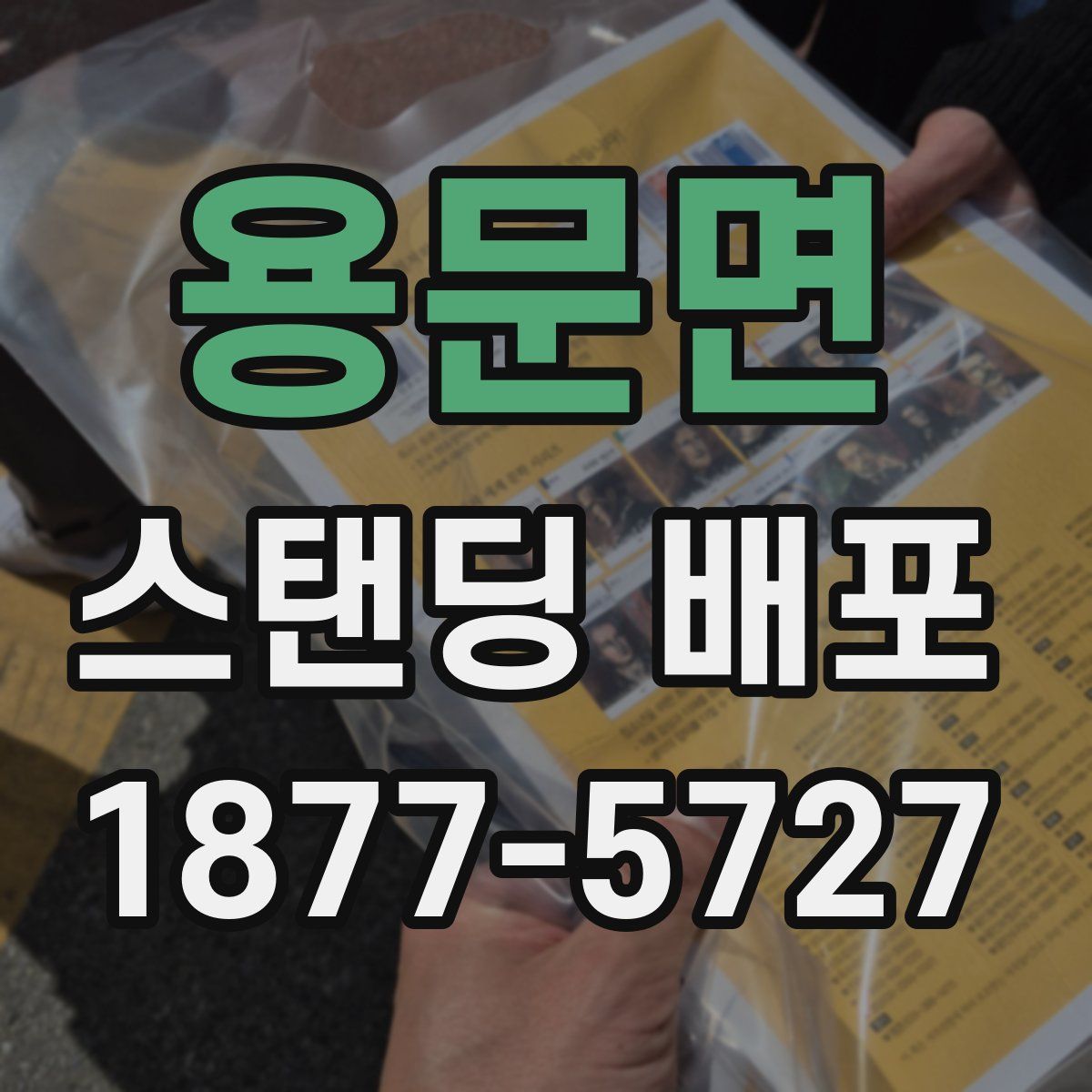 용문면 스탠딩 배포
