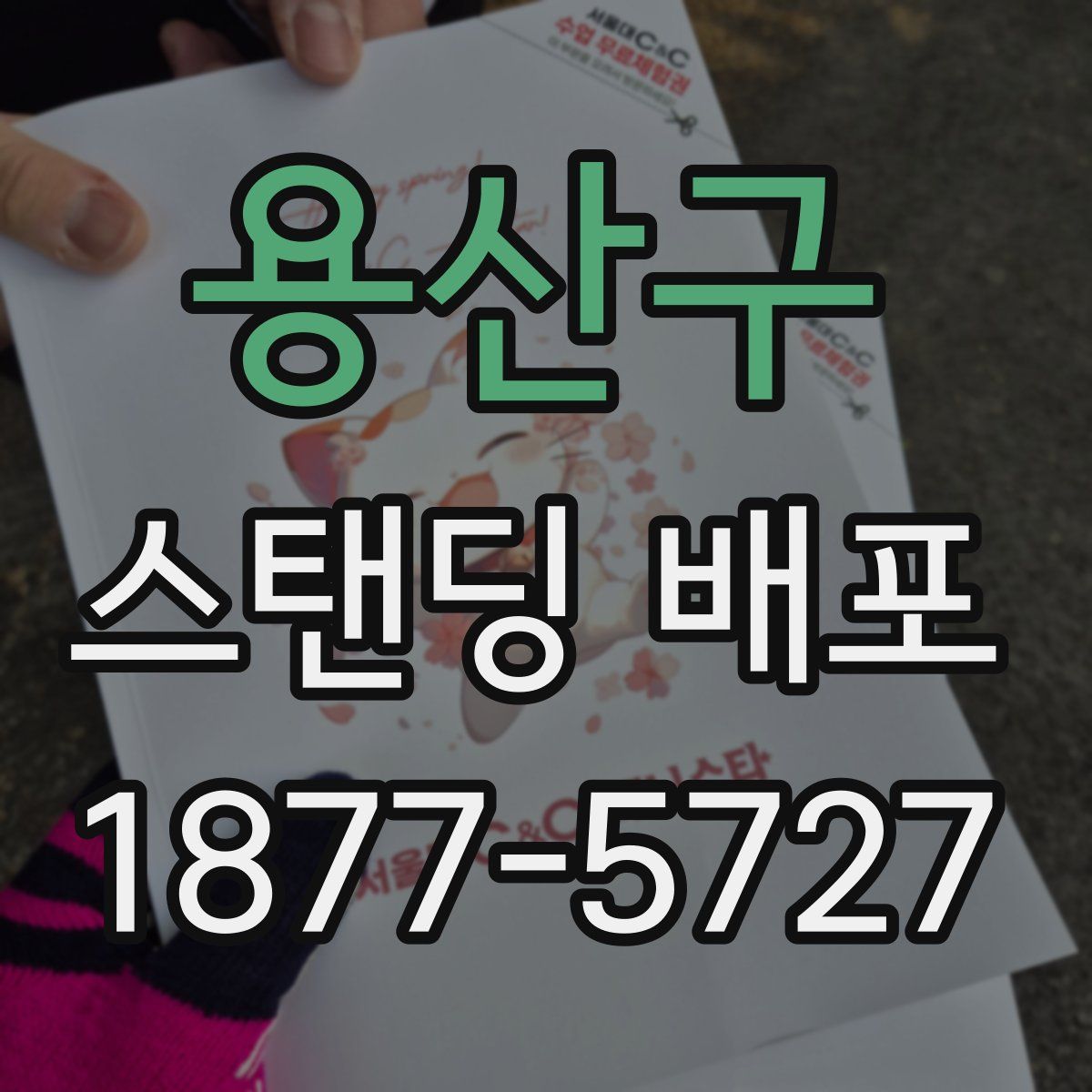 용산구 스탠딩 배포