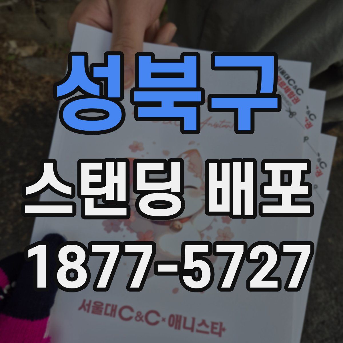성북구 스탠딩 배포