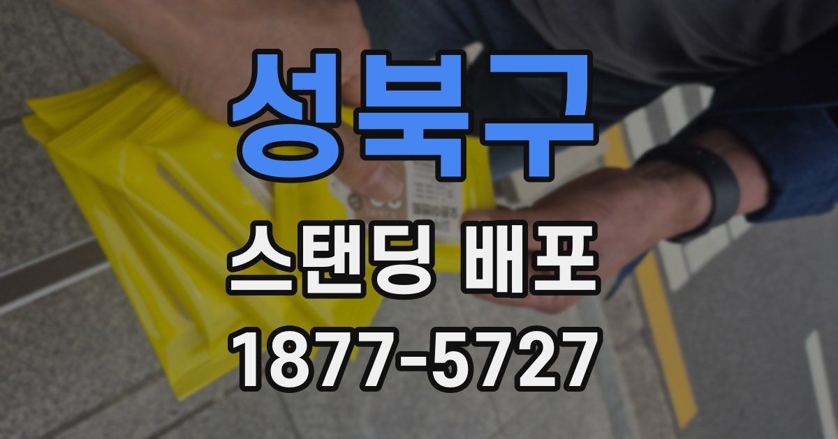 성북구 스탠딩 배포