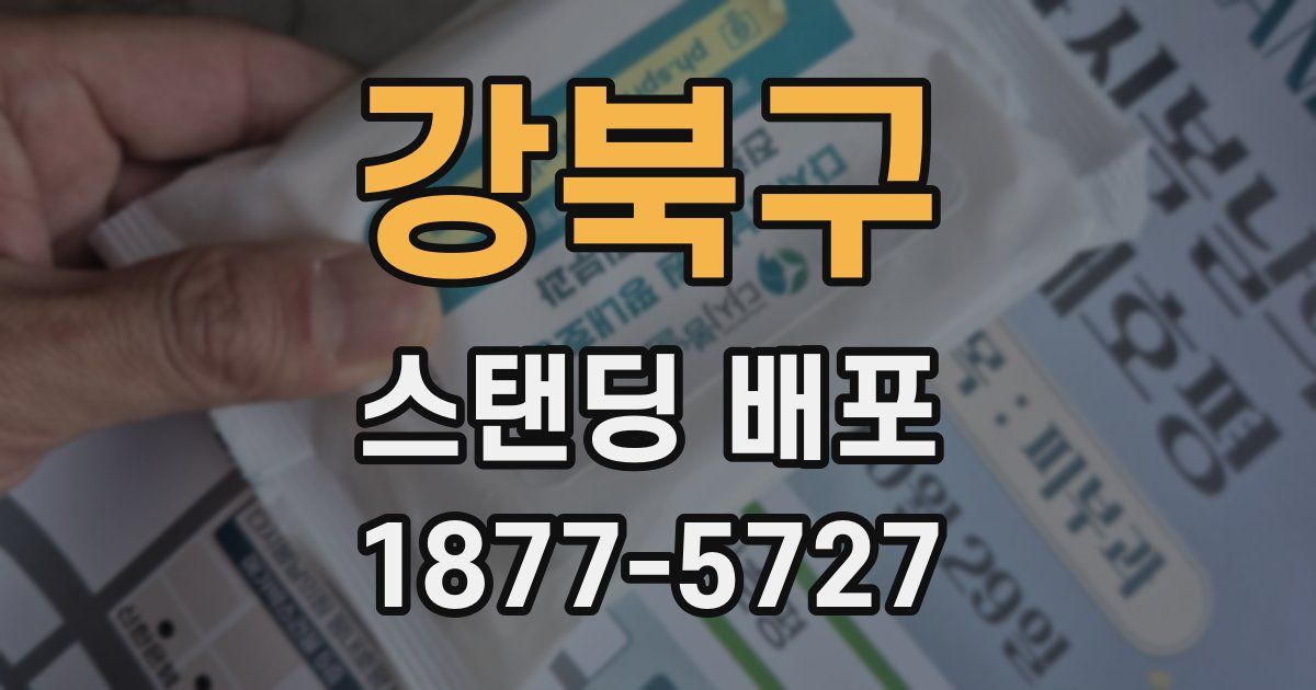 강북구 스탠딩 배포