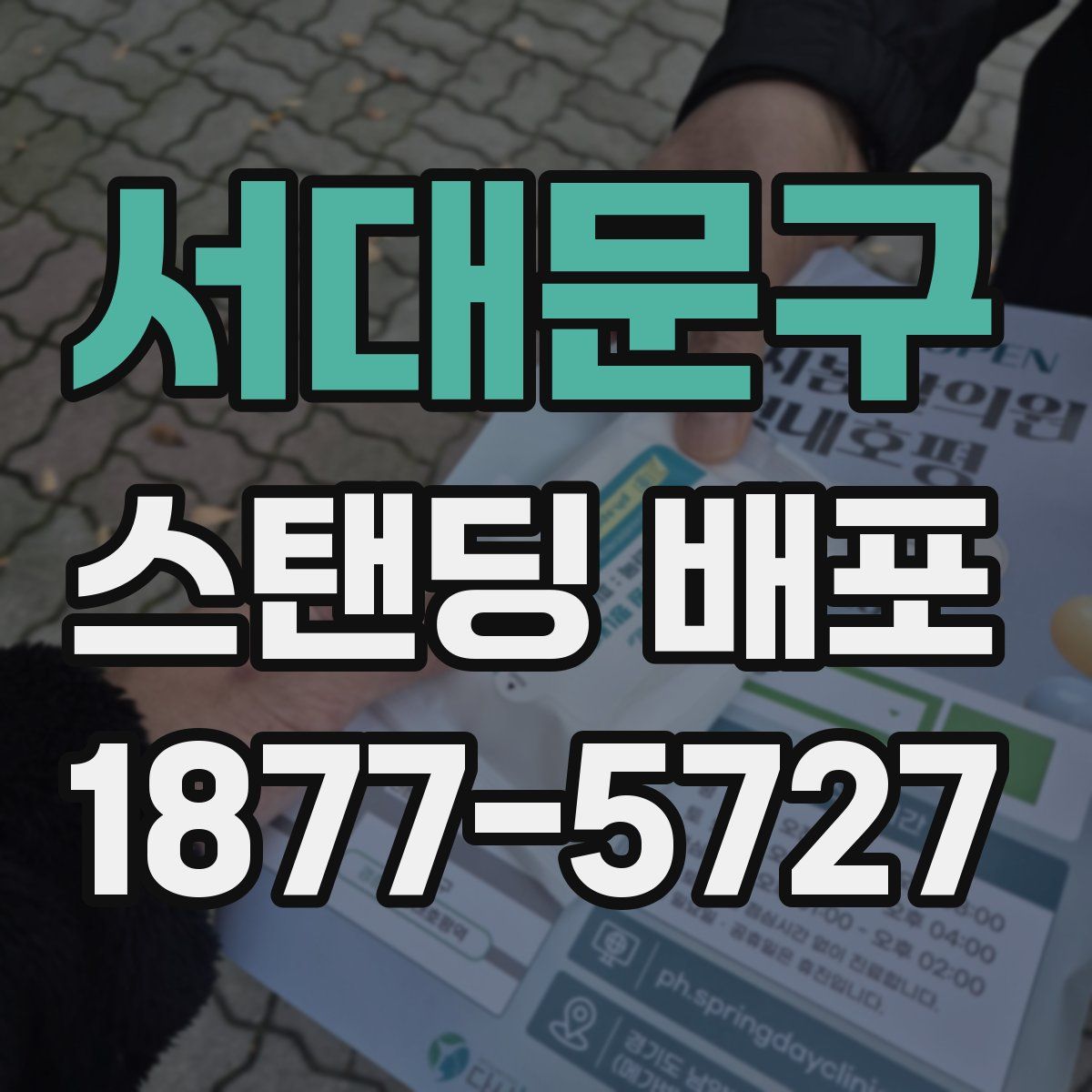 서대문구 스탠딩 배포