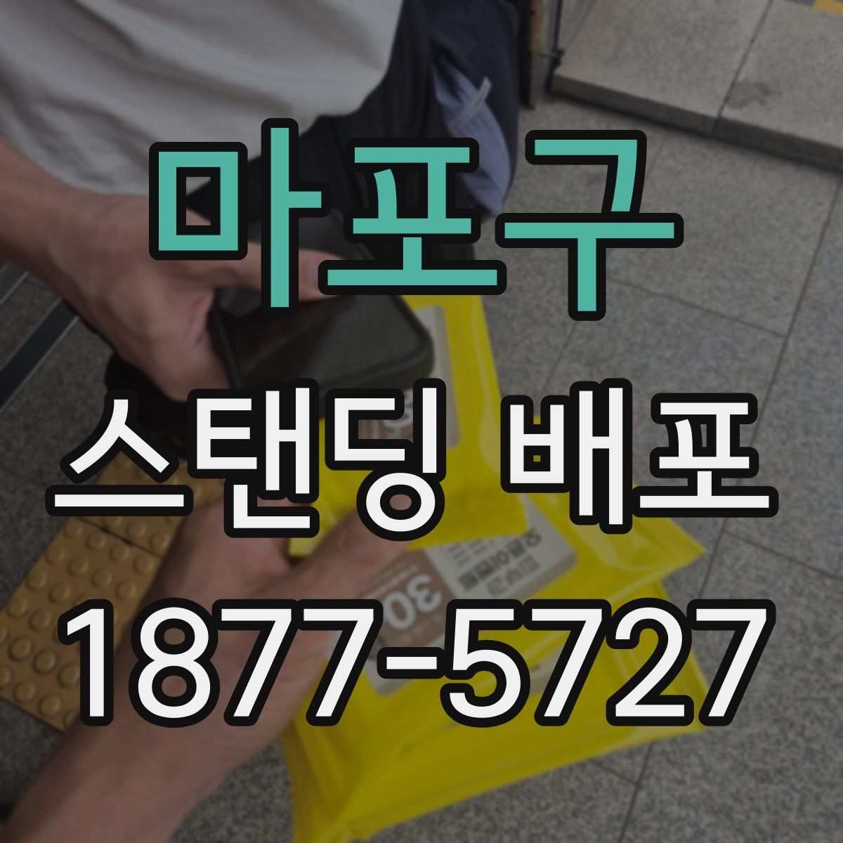 마포구 스탠딩 배포