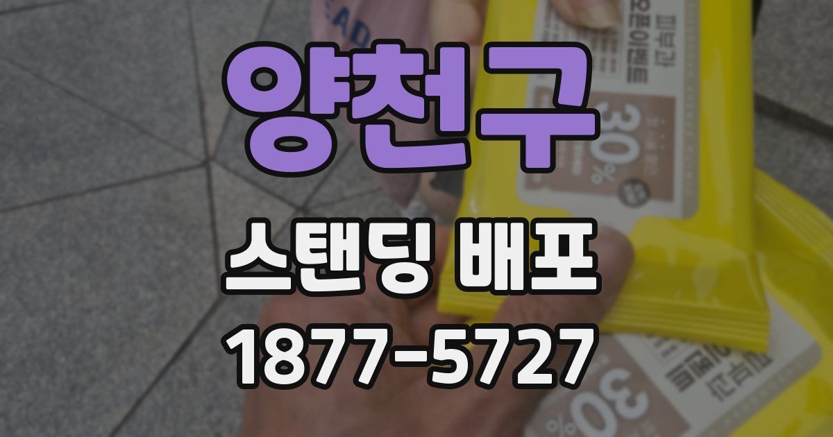 양천구 스탠딩 배포