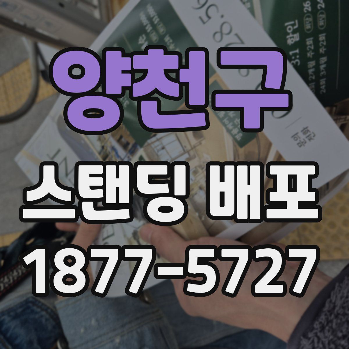 양천구 스탠딩 배포