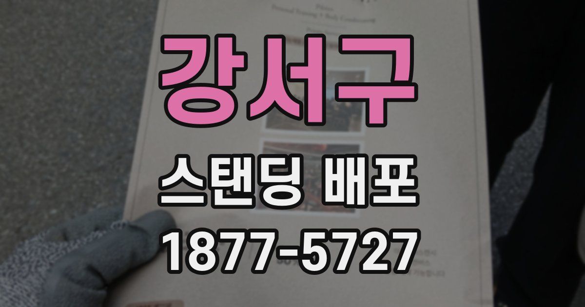 강서구 스탠딩 배포