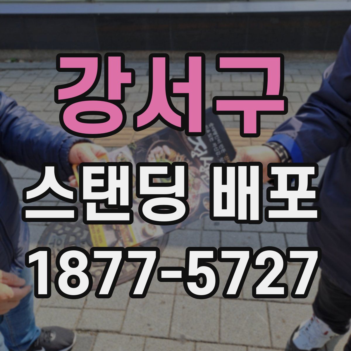 강서구 스탠딩 배포