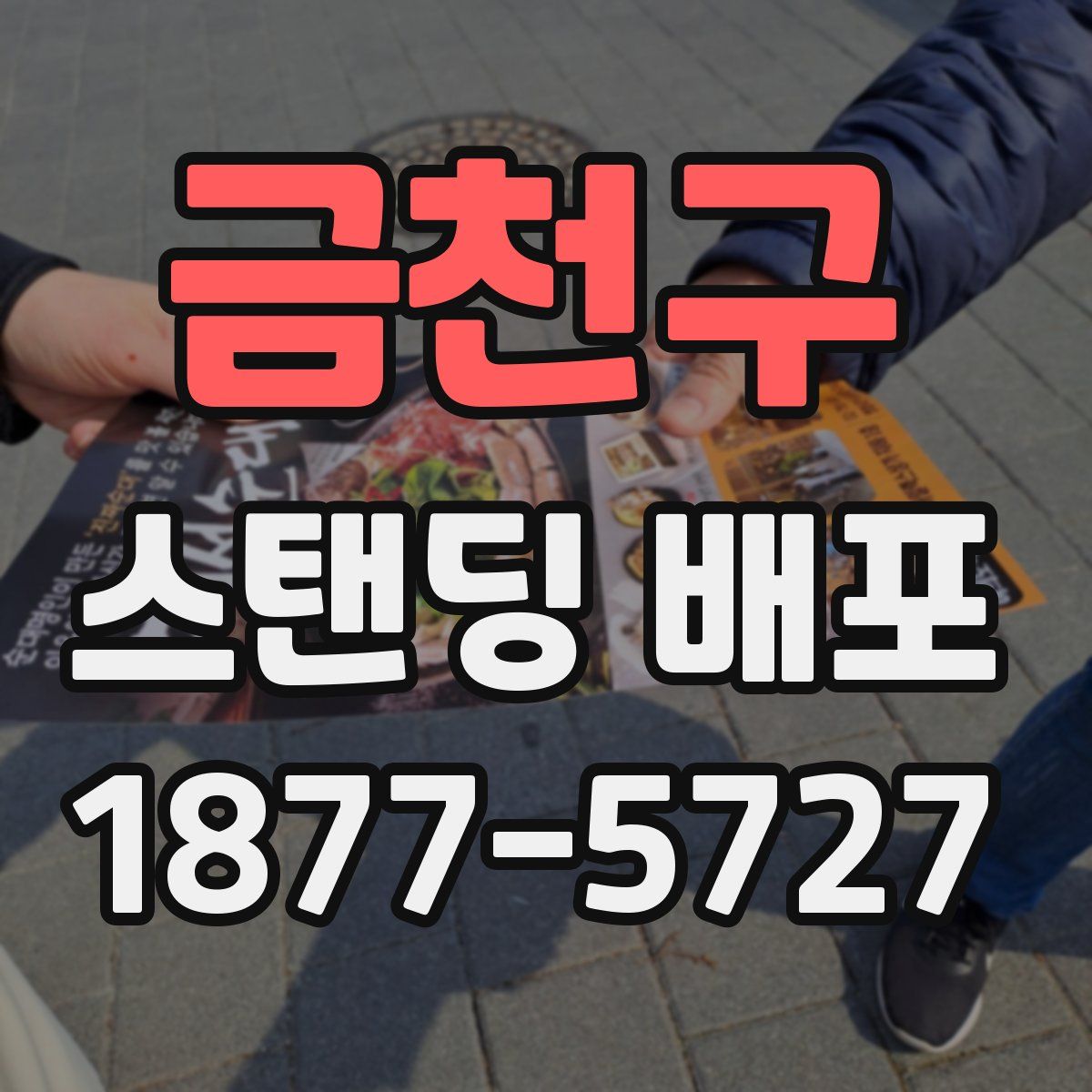금천구 스탠딩 배포