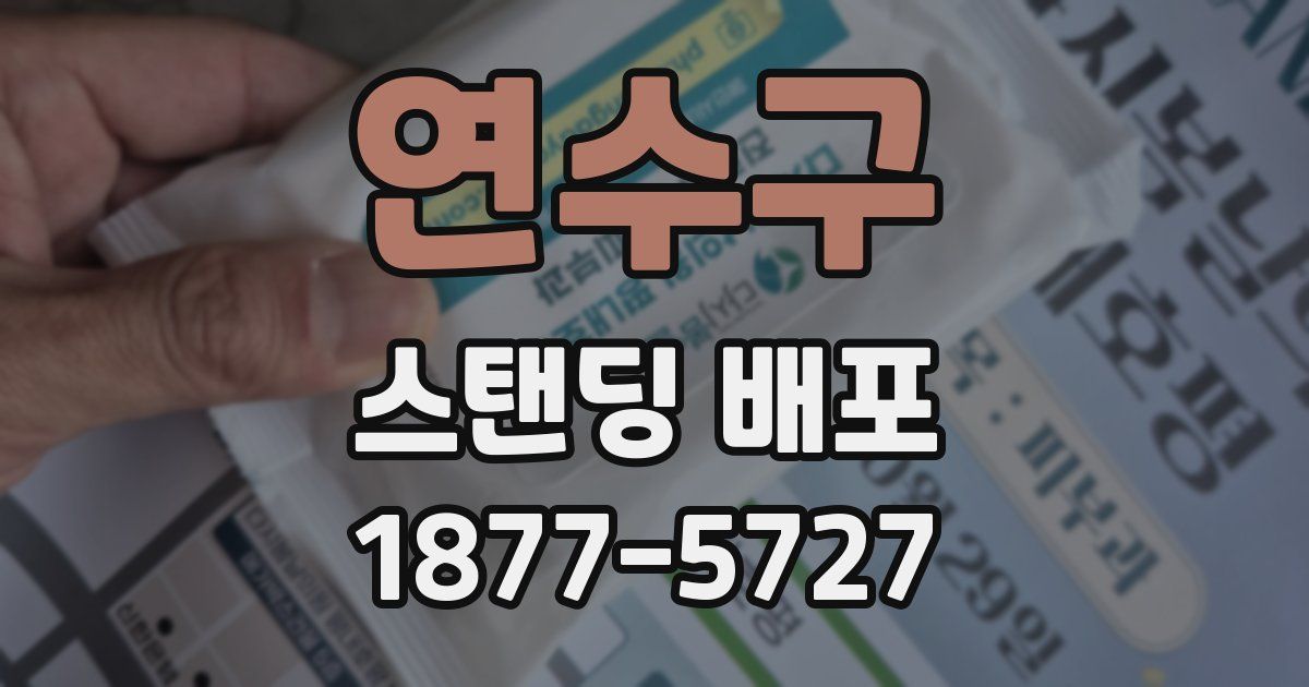연수구 스탠딩 배포