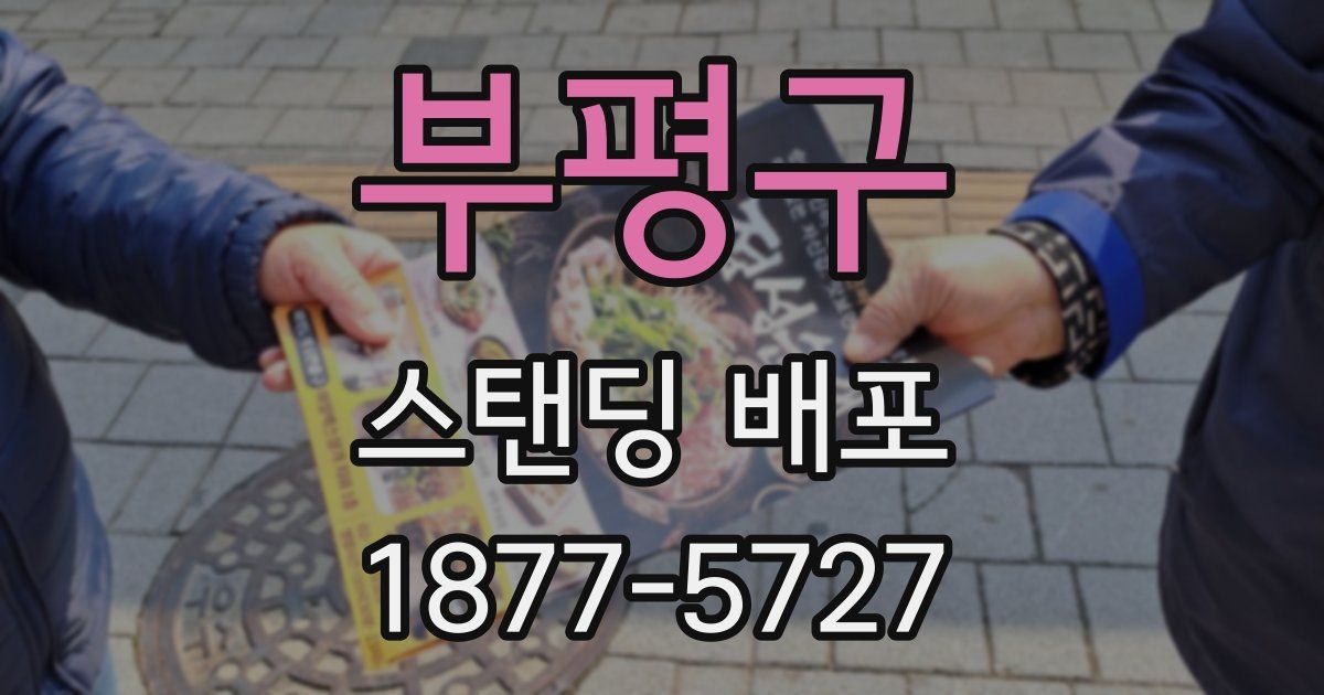 부평구 스탠딩 배포