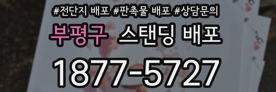 부평구 스탠딩 배포