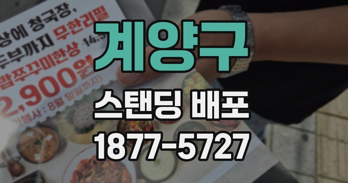 계양구 스탠딩 배포