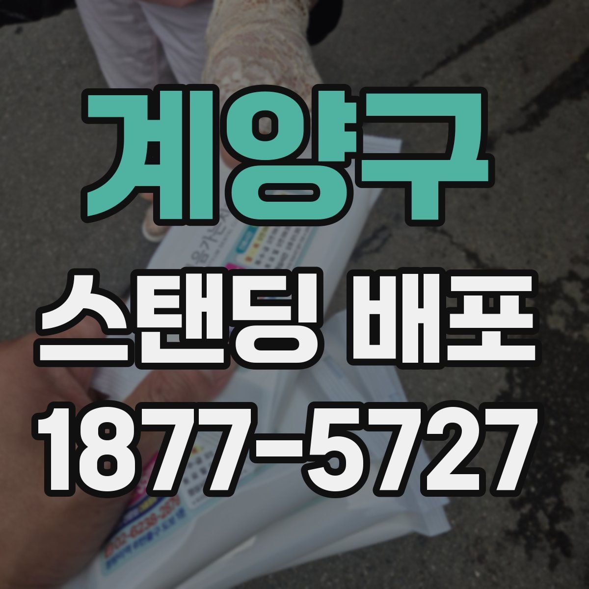 계양구 스탠딩 배포