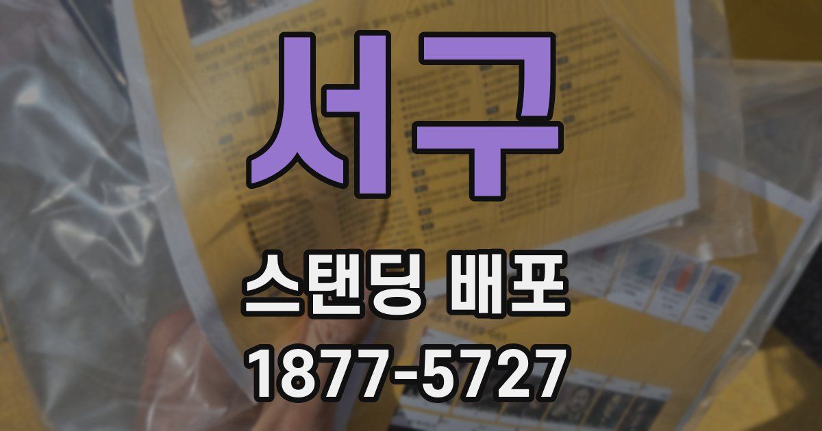 서구 스탠딩 배포