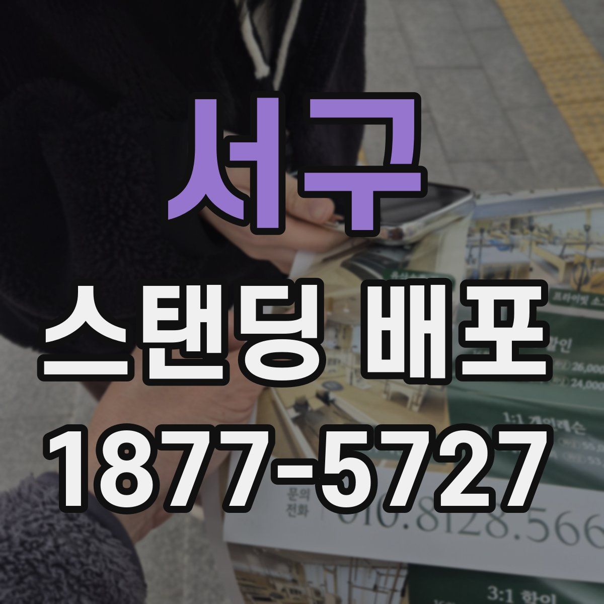 서구 스탠딩 배포