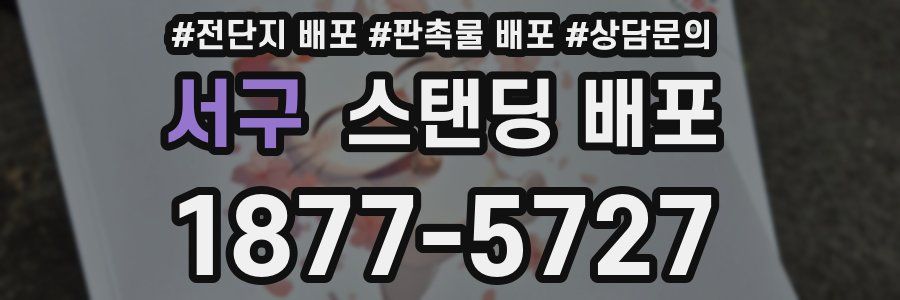 서구 스탠딩 배포