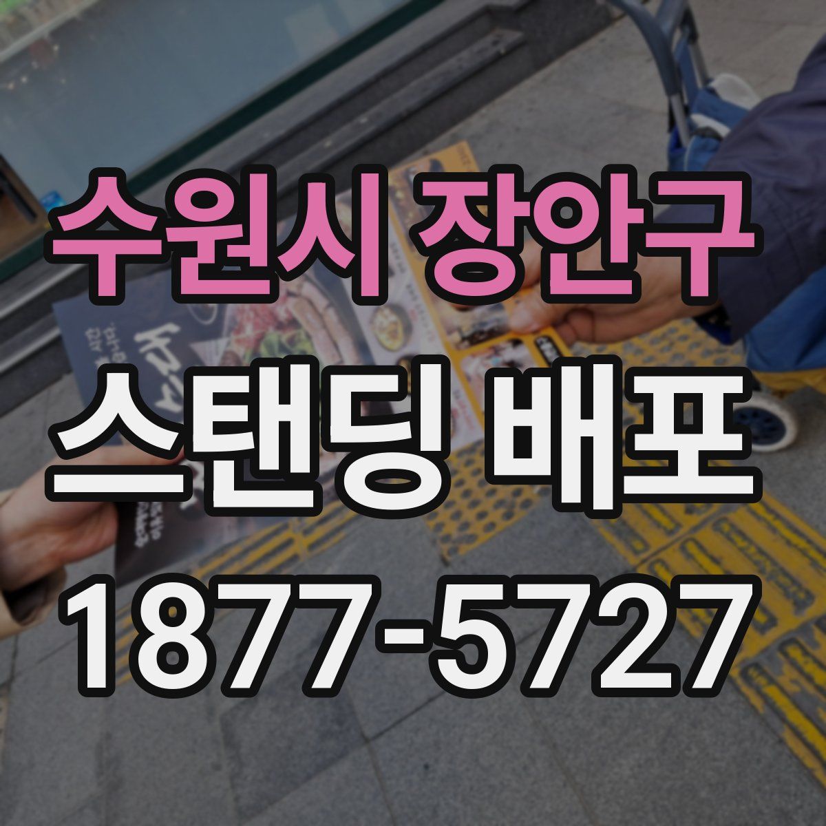 수원시 장안구 스탠딩 배포
