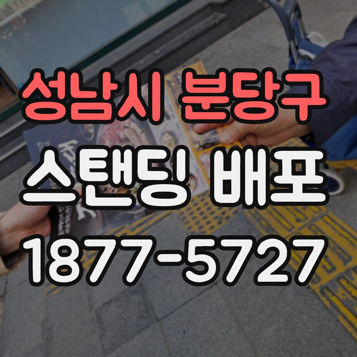 성남시 분당구 스탠딩 배포