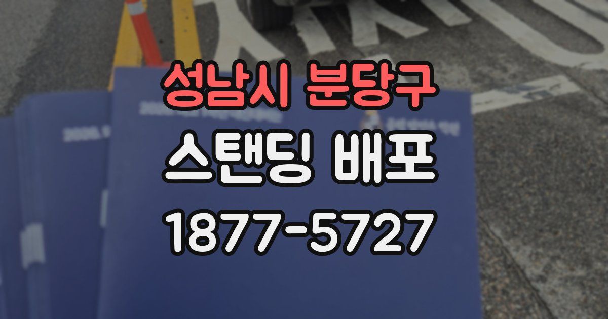 성남시 분당구 스탠딩 배포