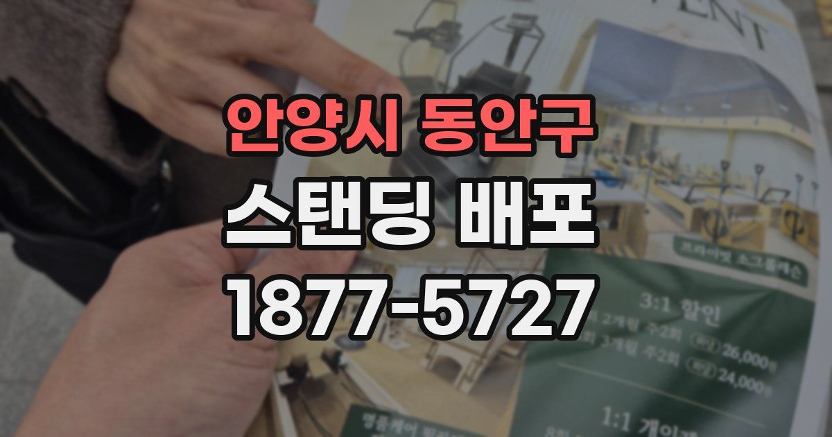 안양시 동안구 스탠딩 배포