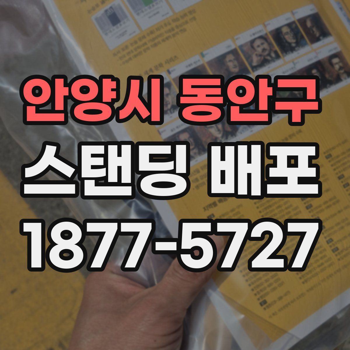 안양시 동안구 스탠딩 배포