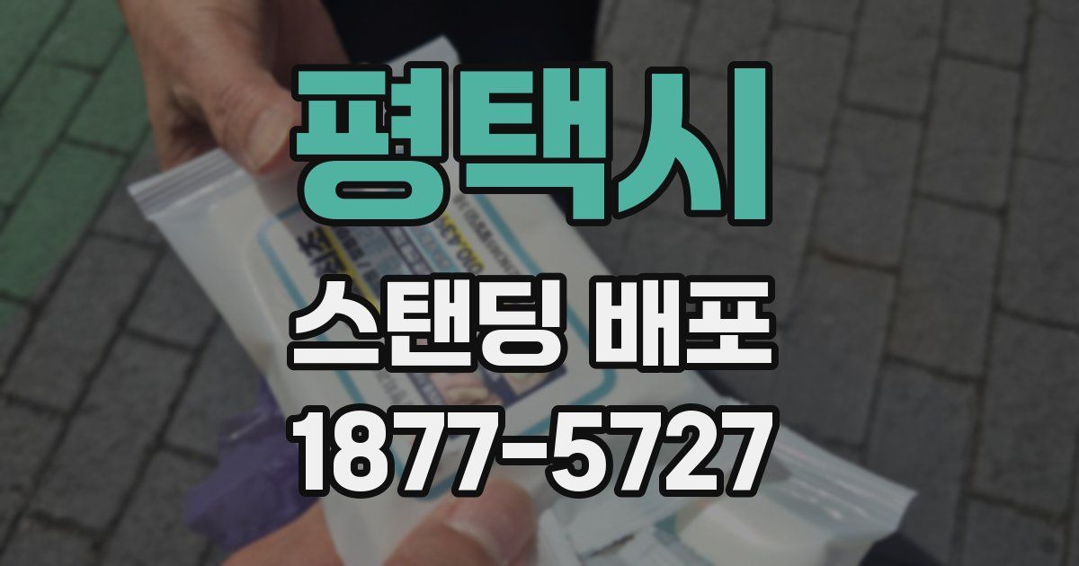 평택시 스탠딩 배포