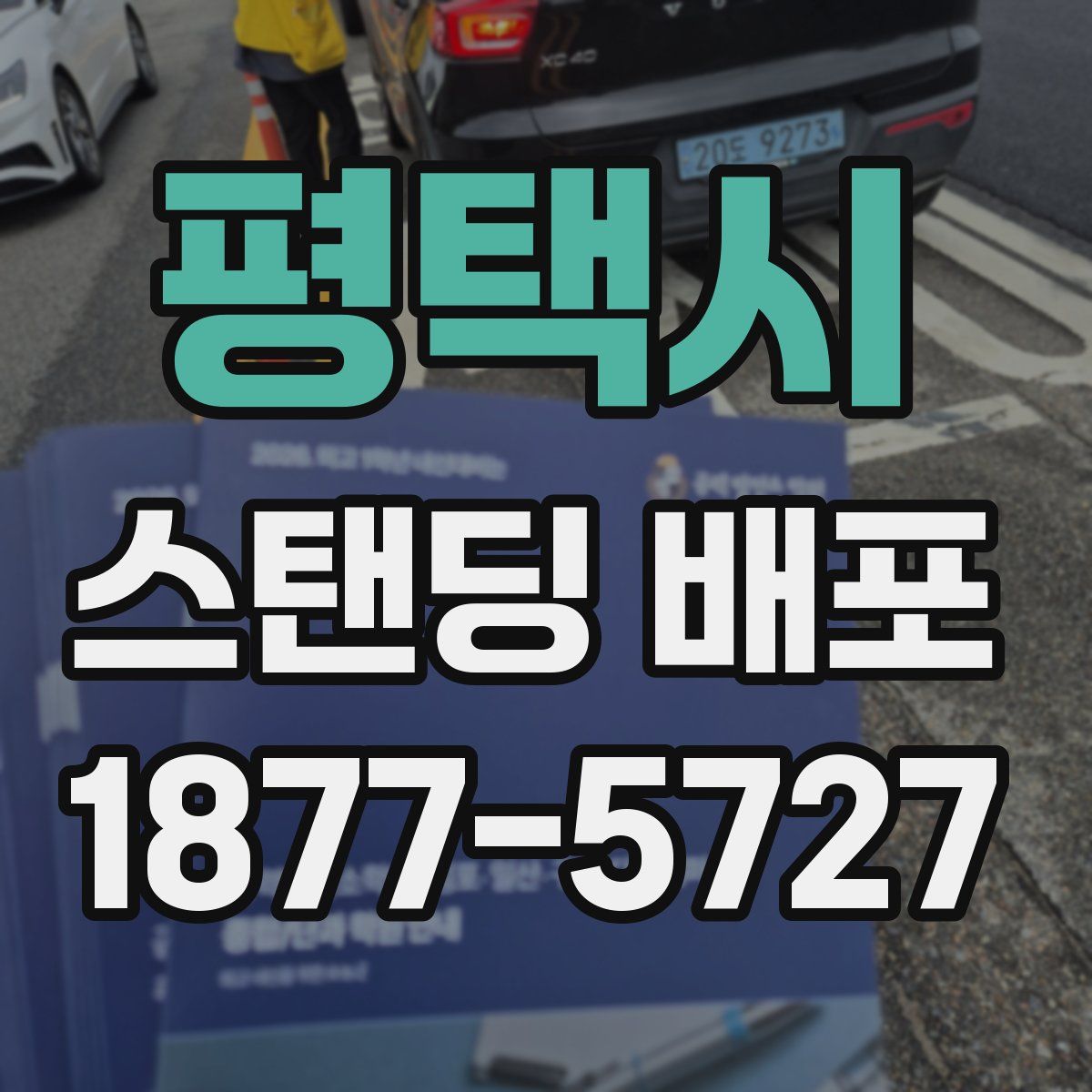 평택시 스탠딩 배포