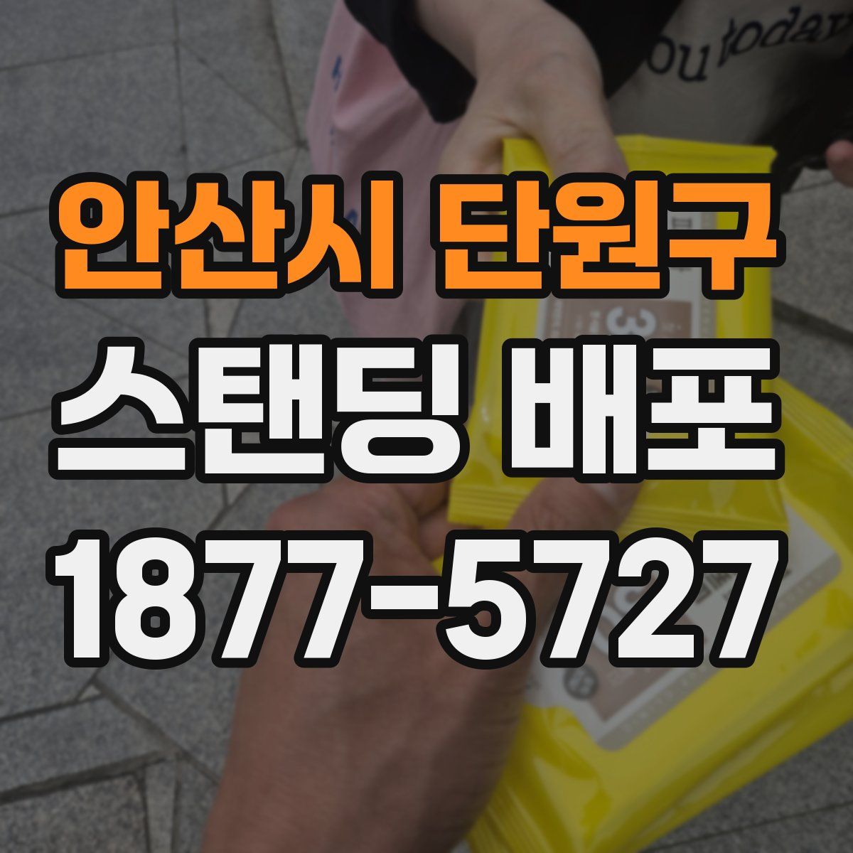 안산시 단원구 스탠딩 배포