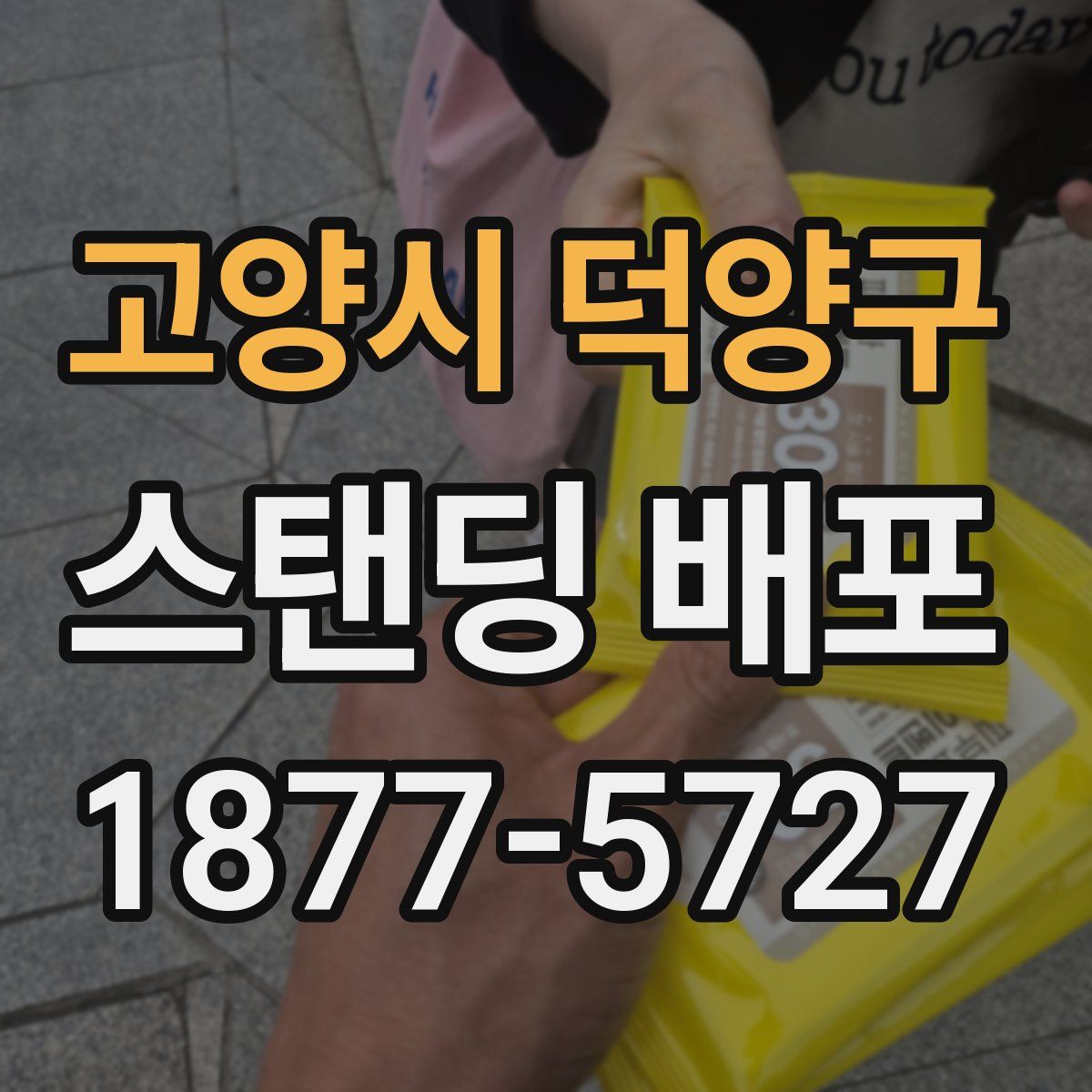 고양시 덕양구 스탠딩 배포