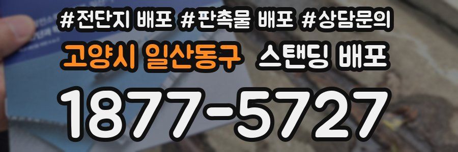 고양시 일산동구 스탠딩 배포