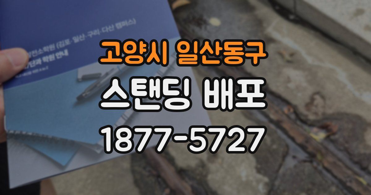 고양시 일산동구 스탠딩 배포