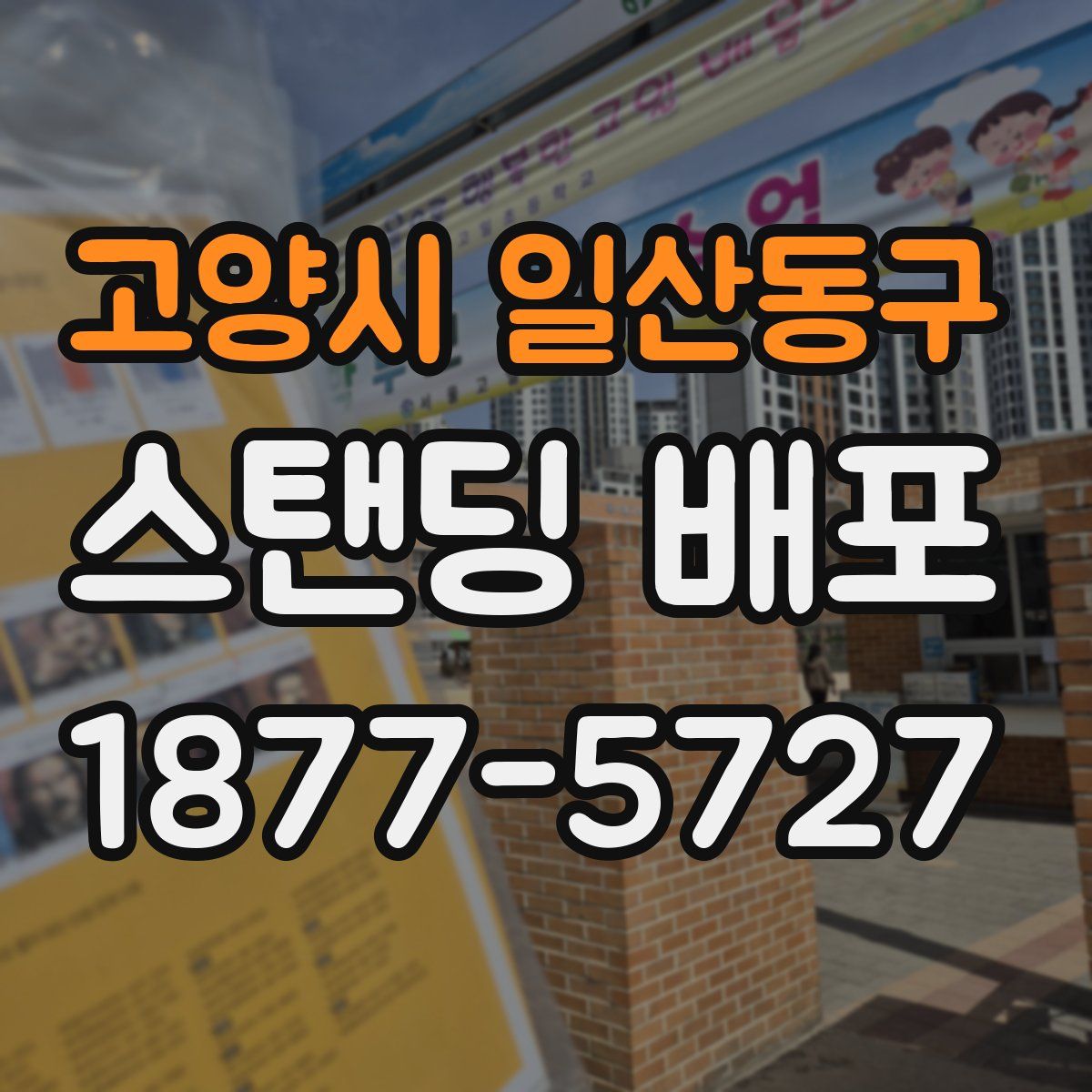 고양시 일산동구 스탠딩 배포