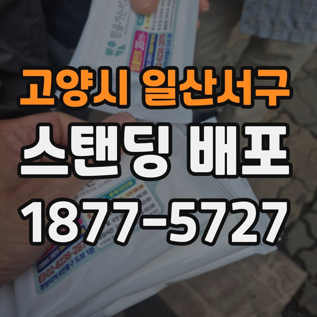 고양시 일산서구 스탠딩 배포