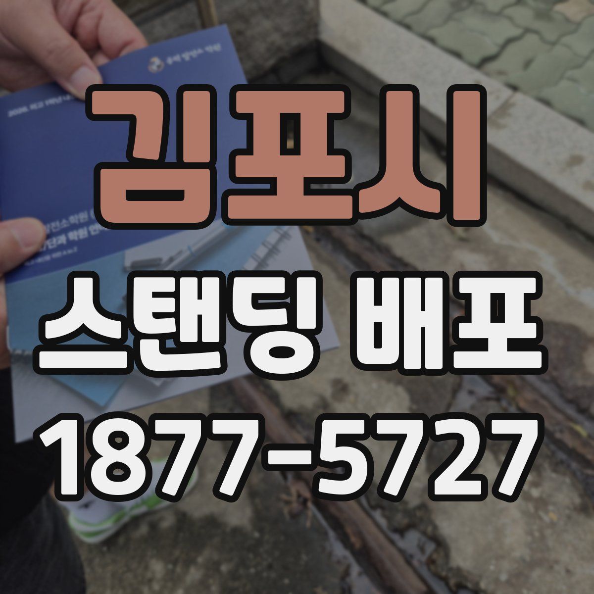 김포시 스탠딩 배포