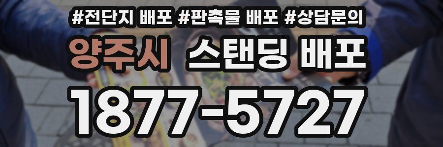 양주시 스탠딩 배포