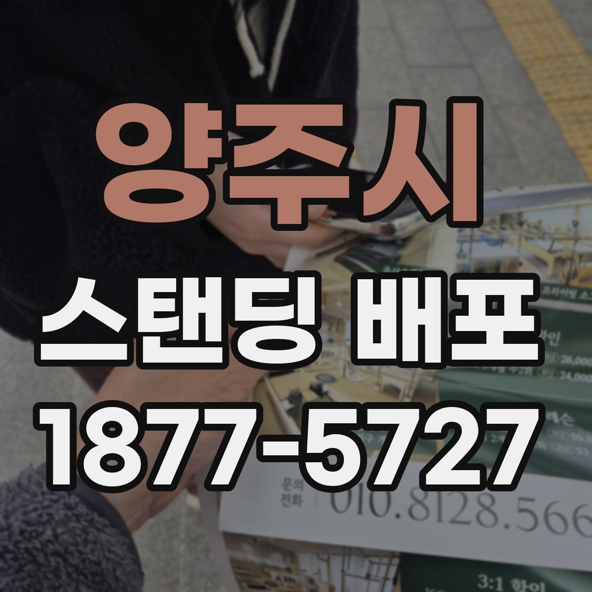양주시 스탠딩 배포